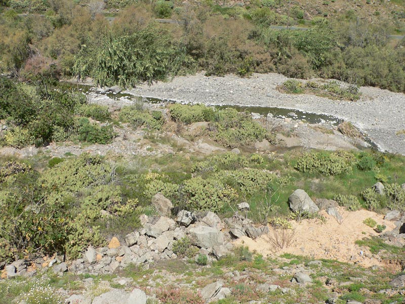 Barranco de la Negra