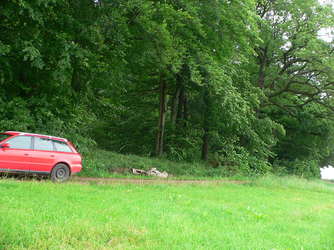 Atypus-Kolonie bei Labach